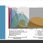 January Teacher Series: Neuroinflammation in Traumatic Brain Injury and Effects on Fertility