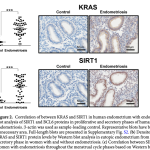 April Grand Rounds: Implantation failure, infertility and endometrial biomarkers in the detection of endometriosis